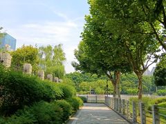 -后襄河公园