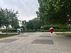 -永定河休闲森林公园