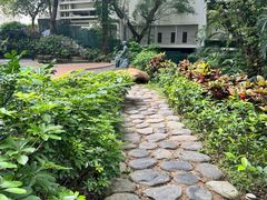 -香港大学