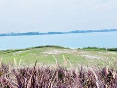 -露天矿生态公园