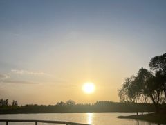 -东郊湿地公园