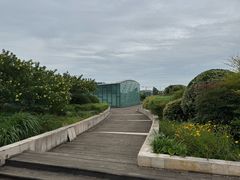 -新江湾城公园