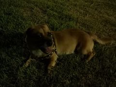 -南京市无想山景区