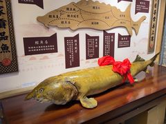 -胖姐渔村(中源大道店)