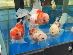-长春农博园