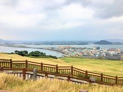 -涉地可支