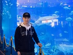 -成都浩海立方海洋公园