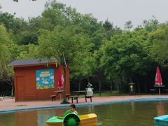 -西部长青自然儿童乐园