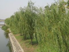 -美兰湖景区