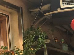 -胖姐烧烤(总店)