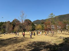 -塔川景区