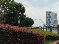 -陈家山荷花公园