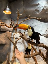 -Zoolung Zoolung动物主题公园(海信广场店)