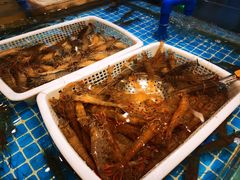 -一方渔歌蒸汽海鲜自助(文化路万达广场店)