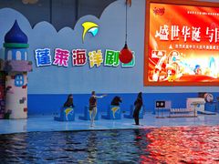 -蓬莱欧乐堡海洋极地世界
