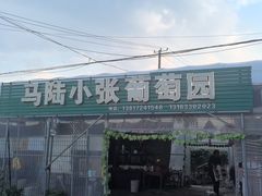 -马陆小张葡萄园农家乐