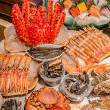 成都海鲜天花板🦐怎么会拒绝一整只麻辣大波龙呢