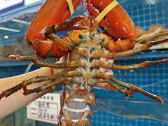 -前王院•巧克力海鲜市集餐厅(万平口店)