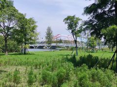 -南汇新城城市公园