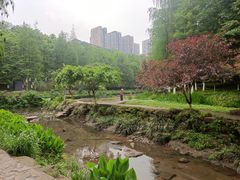 -重庆彩云湖湿地公园