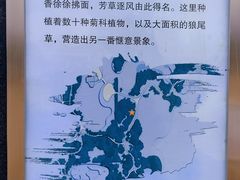 -翠湖国家城市湿地公园