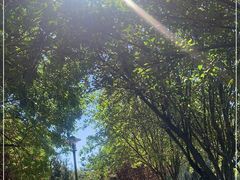 -望湖公园