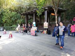 -金盆阿嬷香菇茶叶蛋(玄光店)