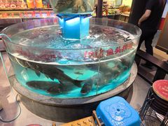 -魏铭鱼头捞饭(晋阳路店)