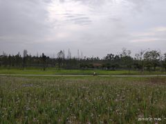 -白鹭湾湿地公园