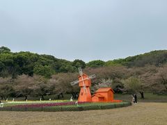 -苏州上方山国家森林公园