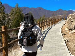 -白水寺森林公园