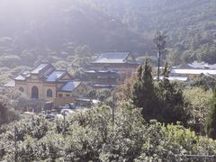-树山生态村