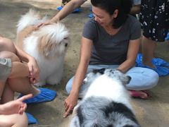 -TrueLove @ Neverland (Husky Cafe)