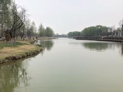 -西安浐灞国家湿地公园