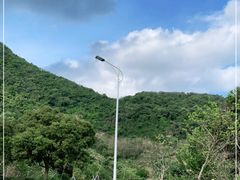 -梧桐山风景名胜区