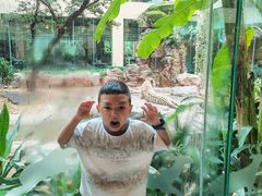 -白虎自助餐厅·真老虎·景观自助餐厅(广州长隆酒店)