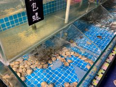 -渔家火锅·海鲜自助餐·演艺(亚龙湾天域酒店)