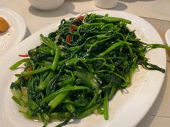 -肥仔文澳门猪骨煲(南京西路店)