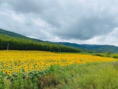 -塞罕坝国家级自然保护区