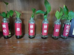 -红瓜子 影视后期 摄影摄像设计 新媒体运营技能培训(宝安校区)