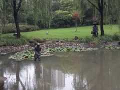 android_upload_pic-苏州河梦清园环保主题公园