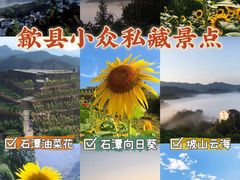 -阳产土楼