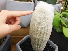 -三圣花乡旅游区