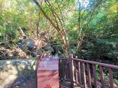 -七仙岭温泉国家森林公园