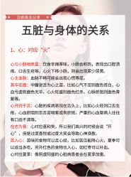 点击看大图 -玛莲朵·海菲秀冰珀科