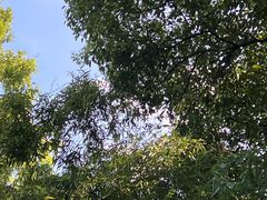 -同里国家湿地公园