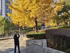 -苏州河梦清园环保主题公园