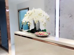 -MIVI野生眉纹绣纹眉