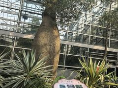 -南山植物园