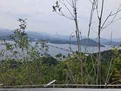 -千岛湖天屿景区